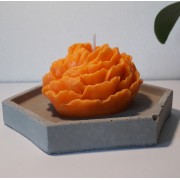 Pivoine orange et son socle béton hexagonal