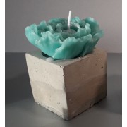 Cube en béton et sa pivoine turquoise